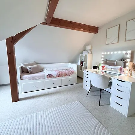 185 M Duplex With Pool Near Strasbourg Prázdninový dům Ittenheim