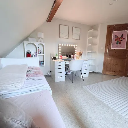 185 M Duplex With Pool Near Strasbourg *