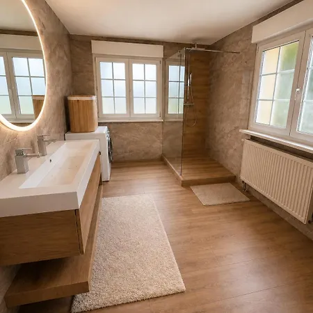 185 M Duplex With Pool Near Strasbourg