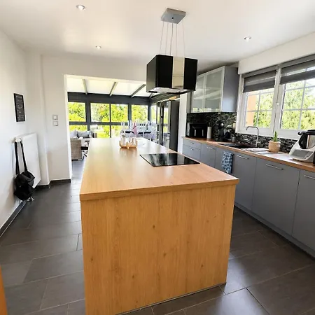 Prázdninový dům 185 M Duplex With Pool Near Strasbourg *