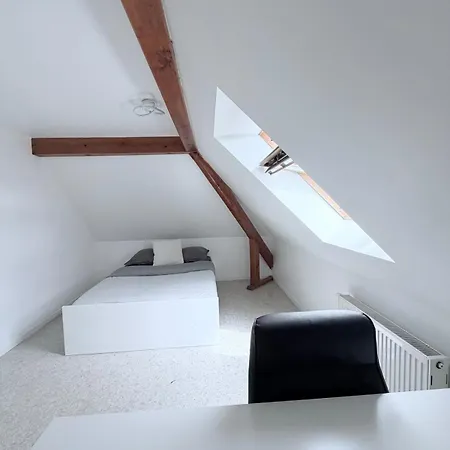Prázdninový dům 185 M Duplex With Pool Near Strasbourg *