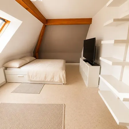 185 M Duplex With Pool Near Strasbourg *