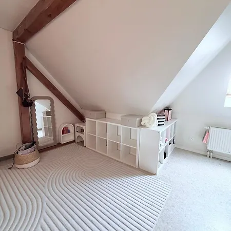 185 M Duplex With Pool Near Strasbourg *