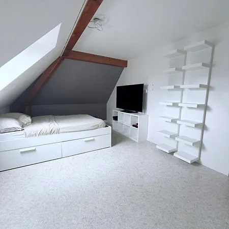 185 M Duplex With Pool Near Strasbourg Prázdninový dům *