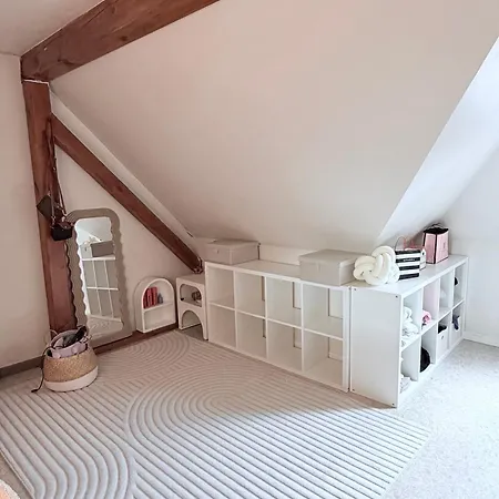185 M Duplex With Pool Near Strasbourg Prázdninový dům Ittenheim